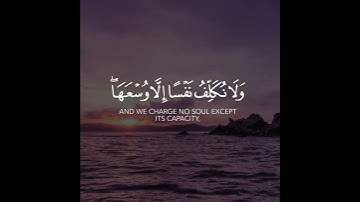 أجمل حالات واتس اب قرآن كريم بدون حقوق بصوت عبدالرحمن مسعد | صوت خاشع يريح القلب❤😴