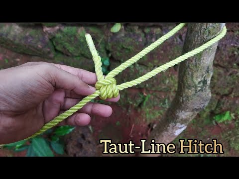 Taut Hand Ropes How to tie taut-Line Hitch knot | Knot for you Rope tricks #knot # ...
