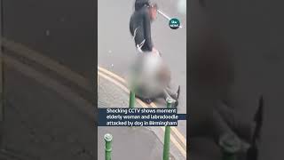 Shocking CCTV shows moment elderly woman and labradoodle attacked by dog in Birmingham #ITVnews