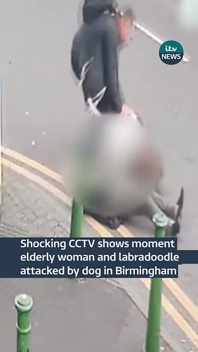 Shocking CCTV shows moment elderly woman and labradoodle attacked by dog in Birmingham #ITVnews