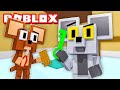 GANAMOS KITTY con COMANDOS de ADMIN | Cerso roblox