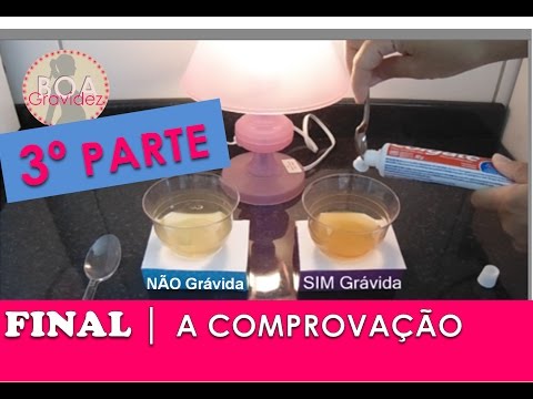 Vídeo: Melhor Dental Treats para Cães Lista: Comentários, Comparações, Testes