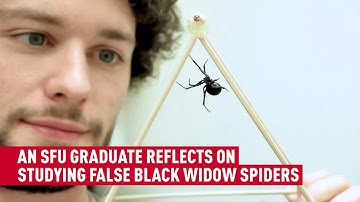 SFU MPM & PhD graduate explores an unknown ‘spiderverse’