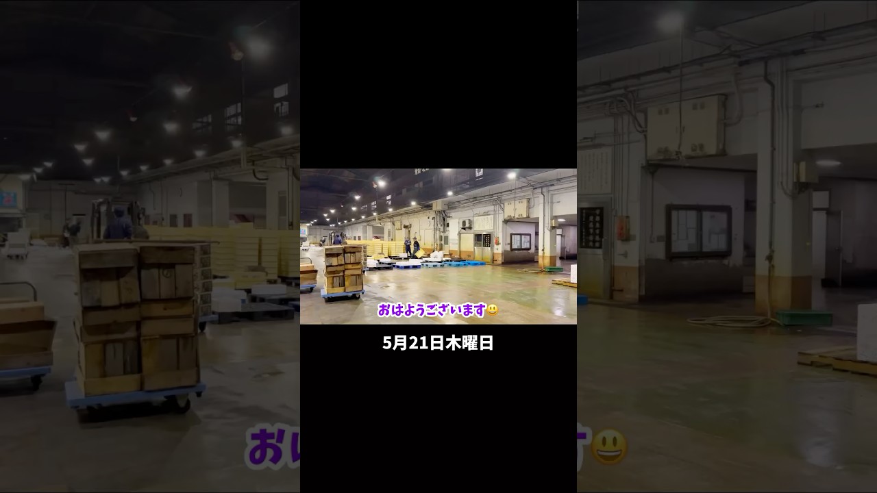 今朝の魚市場5月21日木曜日の水揚げ速報#shorts