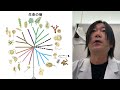 国立科学博物館 動物研究部 谷藤吾朗 インタビュー（2023年度クラウドファンディング「科博コレクション図鑑」特典動画）