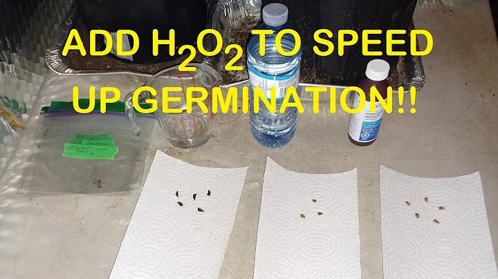 Germinate Seeds Faster With this Non-toxic, Environmentally Friendly Additive!