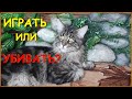 Мейн-кун и его странные игры