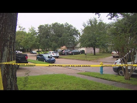 17-year-old accused of stabbing his sister to death while their parents slept at their Katy-area hom