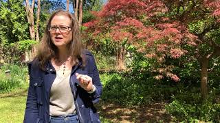 Encouraging Contributions Tip #4: Discussing Impact