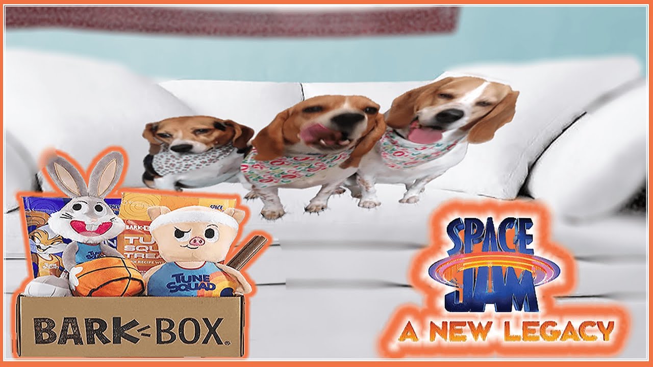 Bark Box Space Jam A New Legacy Edition | Dogs