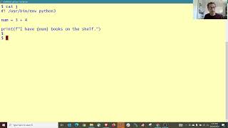 003 Python On Linux Print Variable String Together