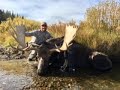 Bowhunting Giant Wyoming Moose "The Grizzly Ridge Giant"