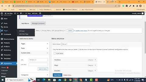 How to use custom links in wordpress website menu