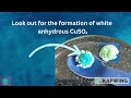 Dehydration of Copper(II) Sulfate Pentahydrate | CuSO₄·5H₂O to CuSO₄ Reaction Explained