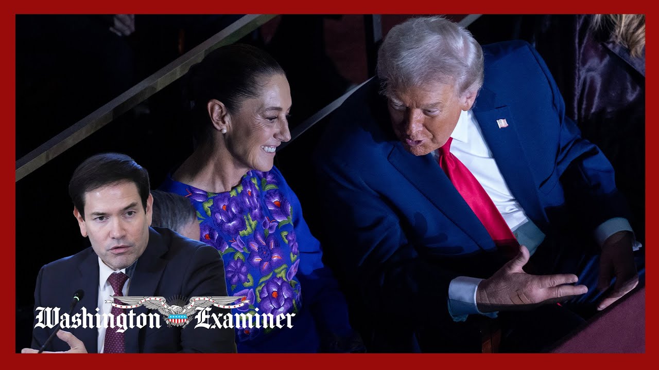 Rubio and Mexico’s foreign secretary discuss ‘stronger cooperation’ against cartels