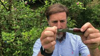 Adam Greenman showcases the Greenman Grafting Budding Knife Adam Greenman showcases the Greenman Grafting Budding Knife