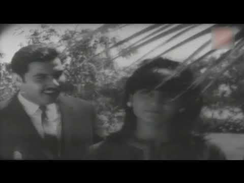 حسين جاسم يا غالي يابو الموقة فيديو كليب