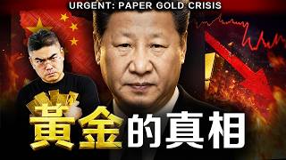 【突發】普通人最容易看錯的資產：它漲了，不代表你真的擁有它 #黃金