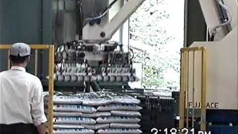 2 Bag Pick - 1+1 Release Robotic Palletizing | Fuji Robotics | #roboticpalletizer #fujirobotics