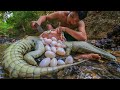 Amazing! Crocodile Eggs In Big Crocodile Stomach & Cooking at Home - Survival Time