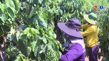 Hiệu quả từ Cuộc vận động