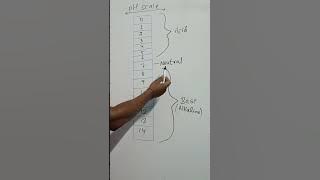 PH SCALE 😱😱 #science #chemistry #gk #education #education #tricks #govtjobs #ph@elixircircle17