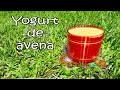 Yogurt de avena por nely helena acosta carrillo