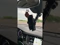 #독일 에서 #스페인 차로 1700km 운전 시작 이삿짐 수준의 화물들😂