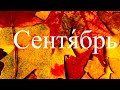 ШАНСОН. АЛЬБОМ. Сентябрь  - Я тебе из осени пишу (2023)