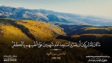 تلاوة هادئة لآيات من سورة التوبة || القارئ عاهد زينو || قراء غزة