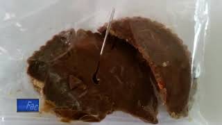 Green Bay Police: Needle found in Halloween candy