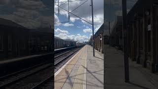 IMG 0751