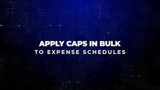 Budget Bytes – Apply Caps in Bulk to Expense Schedules