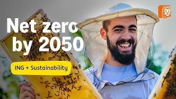 Hoe werkt Terra? | ING