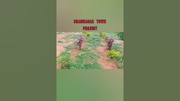 DTCP Shadnagar Town open Plots #shadnagar #kothur #dtcpapprovedplots #realestate #hyderabad #nh44