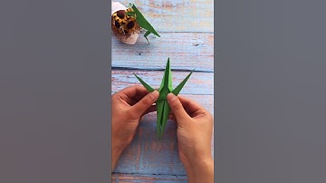 How to make a Paper Animal Mantis Toys | Origami Tutorial | Paper Folding DIY Crafts Idea