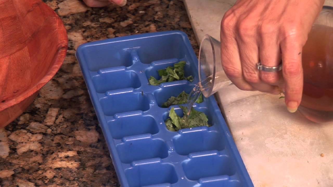 Cooking With Basil How to Freeze Basil Leaves in an Ice Cube Tray