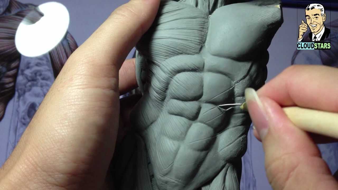 How to Sculpt Ecorche Hercules - Part 53 Right  Obliques and Serratus Muscles