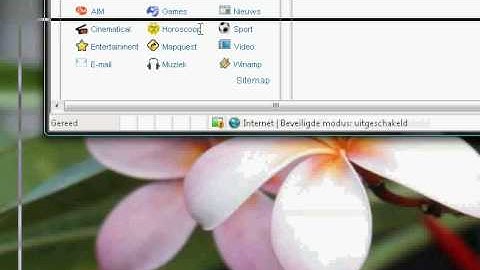 How To Customize The Text in The Internet Explorer Title Bar (unedited)
