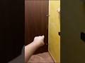 Il GATTO COL CAPPELLO CI CHIUDE NEL BAGNO DI CASA MIA LA NOTTE!???? #shorts #horror #fortnite #vanil