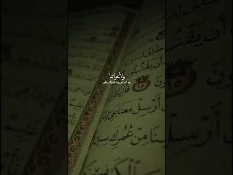 اللهم اغفرلنا في هذه الليلة أجمعين اللهم اغفرلنا ولأبائناولأمهاتنا ولإخواننا ولأخواتنا سعد الغامدي