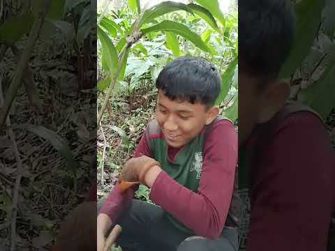 Coversong Lifeisbutadream Funny Music Comedymusic Haveitoldyoulatelythatiloveyou 