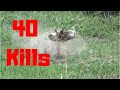 40 gopher ground squirrel killshots in 15 minutes