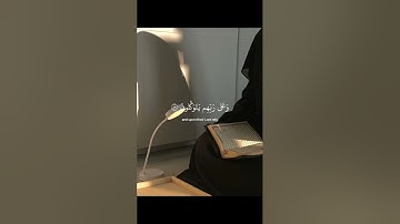 صوت جميل ومريح للقارئ عبد الرحمن مسعد 🎧