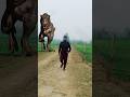 VFX short video #shorts #vfx #magic #shorts #abhayraj0670 #funny