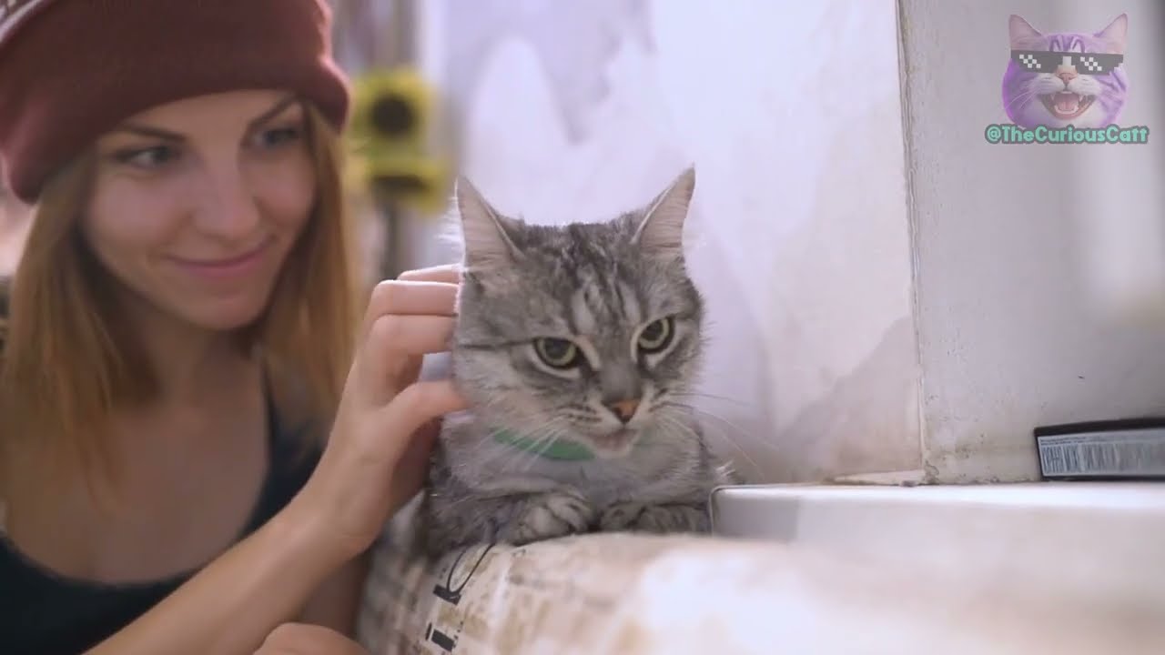 YouTube video image 1