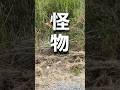【怪物出た】草刈りモンスター！ハイガーの新型ラジコン草刈機 #草刈り #ラジコン草刈機 #ハイガー