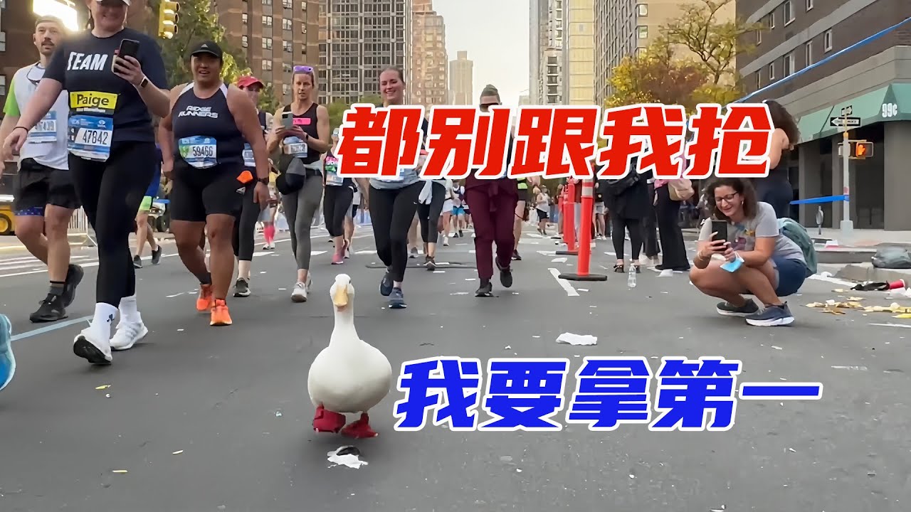 他家養的鴨子天賦異稟，跑起來風馳電掣兩小時不會停，參加馬拉松還拿了第一名，就連世界名人都來蹭它熱度。