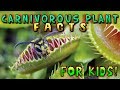 Carnivorous Plant Facts for Kids!