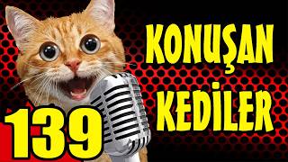 Komik Kedi Videoları - Konuşan Kediler 139 -  YENİ BÖLÜM